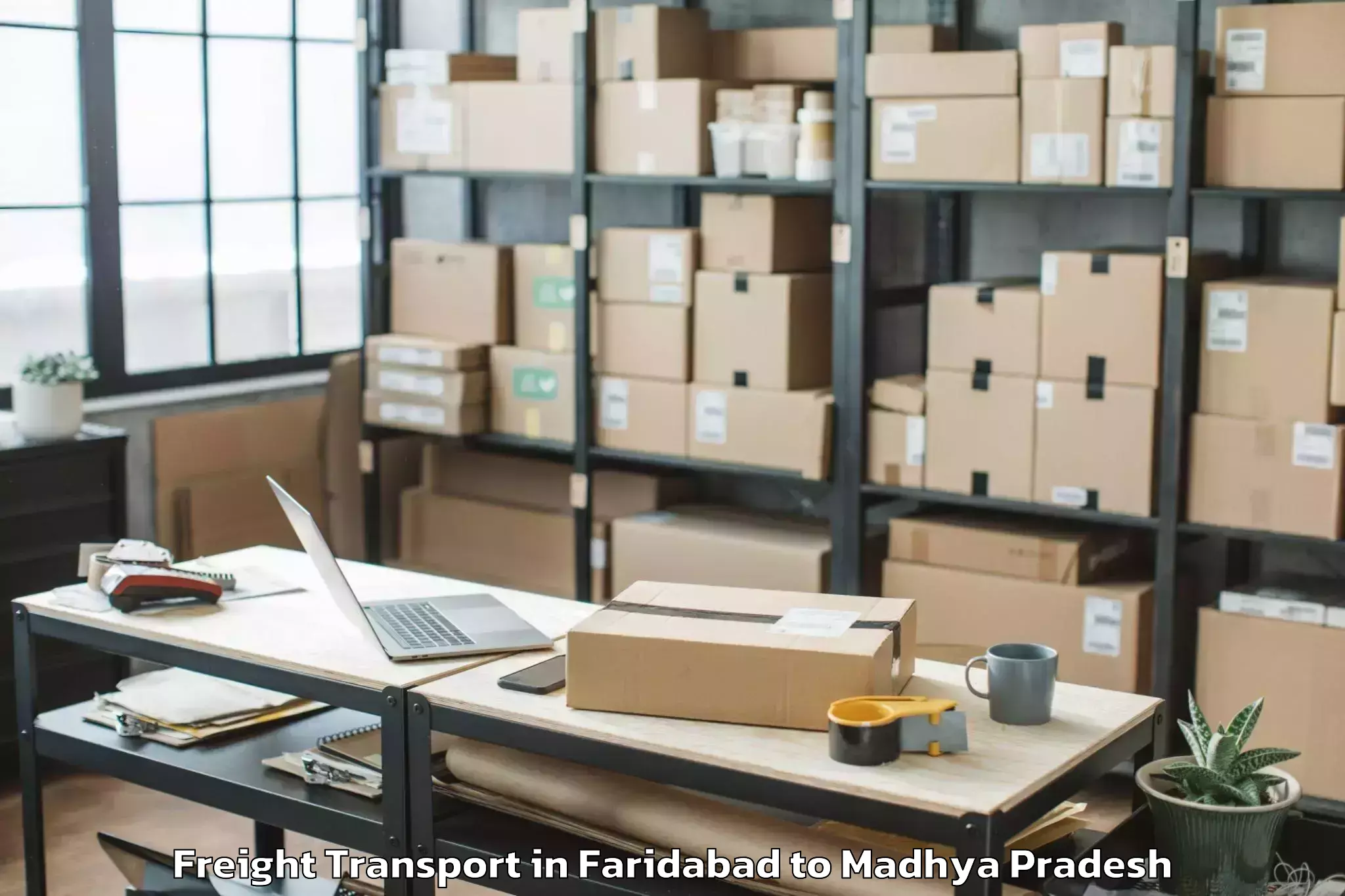 Quality Faridabad to Indore Airport Idr Freight Transport